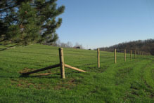 Horsecote